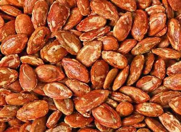 تصویر 4 از قیمت تخمه ژاپنی عمده با کیفیت ارزان + خرید عمده